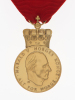 Kongens erindringsmedalje: Gull 